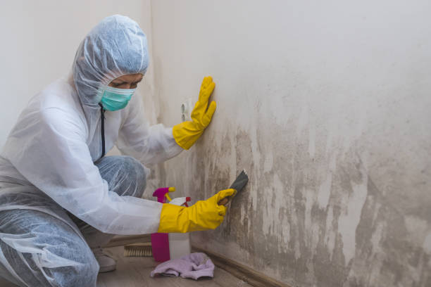 Crawl Space Mold Removal in Coral Springs, FL