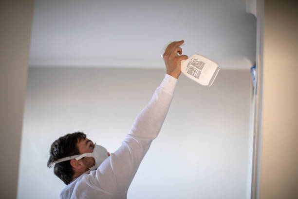 Best Emergency Mold Removal  in Coral Springs, FL