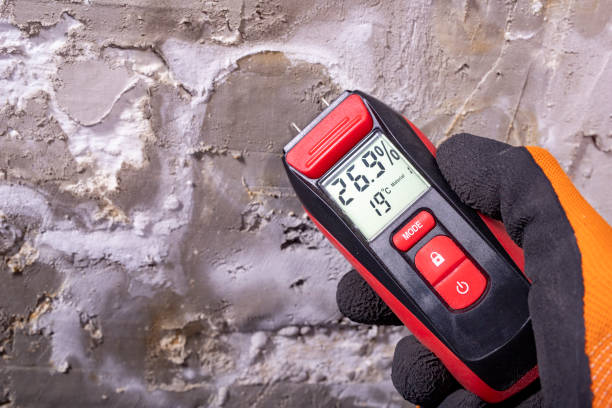 Best Residential Mold Removal  in Coral Springs, FL