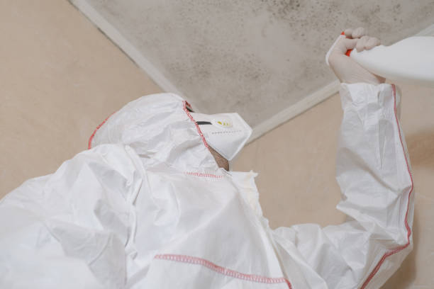 Best Home Mold Removal  in Coral Springs, FL