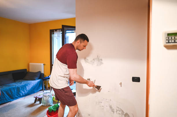 Best Professional Mold Removal  in Coral Springs, FL