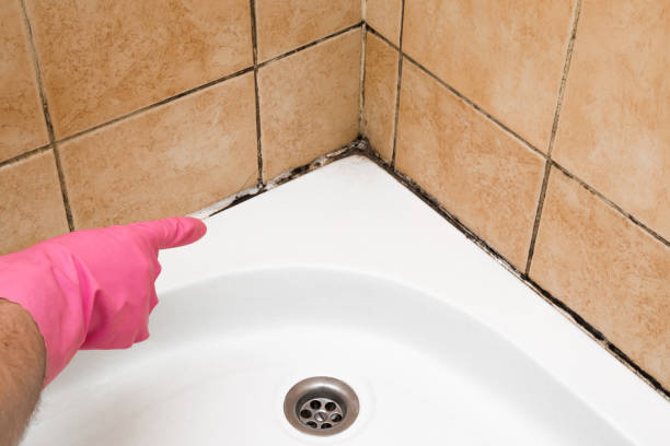 Best Commercial Mold Removal  in Coral Springs, FL